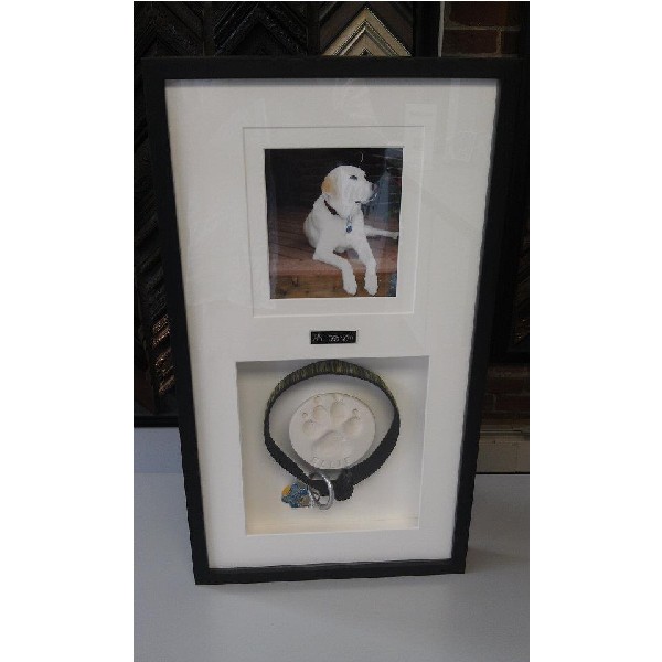 Dog Picture, Leash and Paw Print