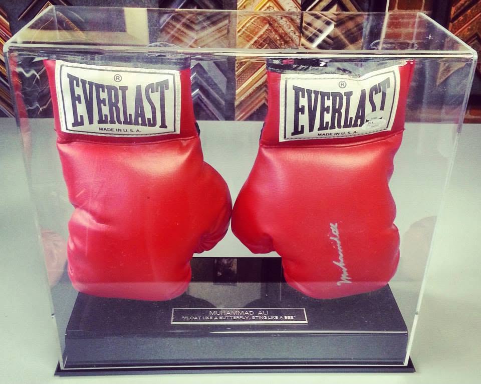 Display Case